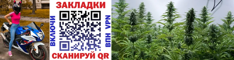 Хочу наркоту Курганинск ГАШИШ  СК  Псилоцибиновые грибы  Меф 