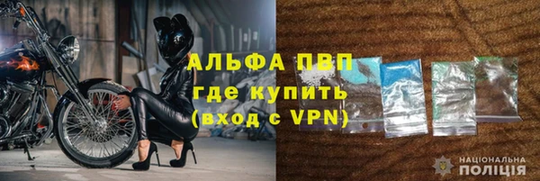 дживик Гусев