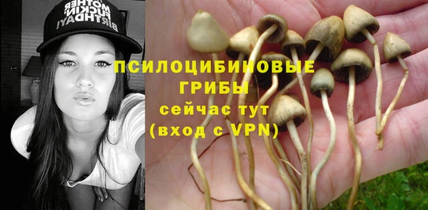 твердый Алексин