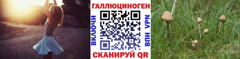 Галлюциногенные грибы мухоморы KRAKEN tor Курганинск как найти закладки