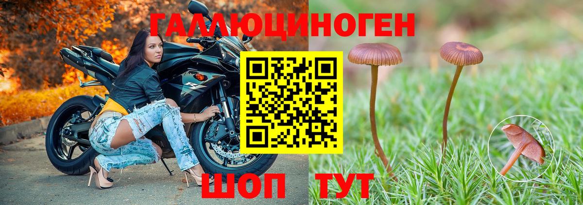Псилоцибиновые грибы ЛСД  Вход с VPN  Галлюциногенные грибы GOLDEN TEACHER  Курганинск 