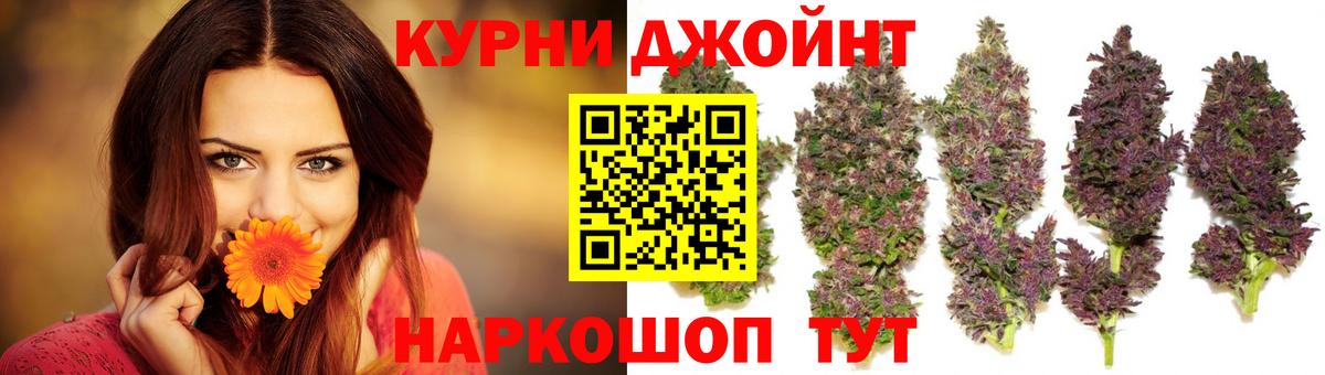 Каннабис сатива Курганинск